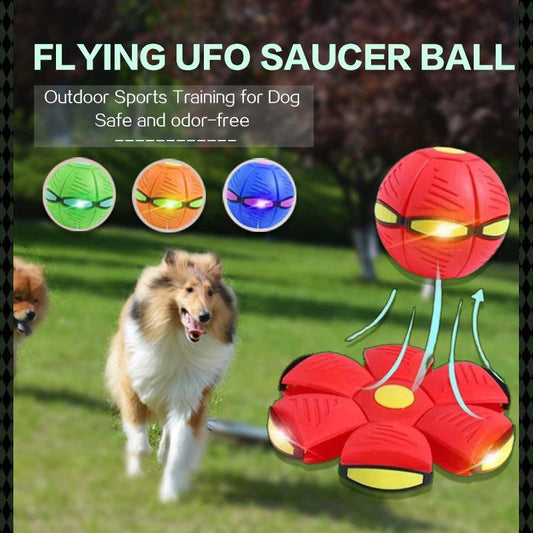 Flying Disk Ball - Jope Sales